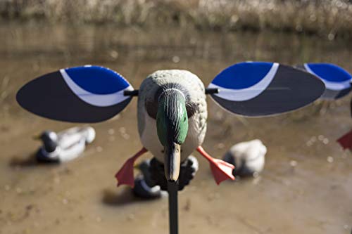 Drake Waterfowl Hunting Decoy - Compact MOJO Mallard with Remote Option