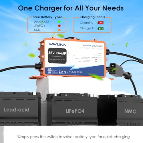Golf Cart Battery Charger 36V 18A - Smart Lead-Acid & Lithium Compatible