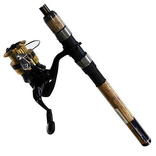 Daiwa D-Shock DSK FW Spin PMC