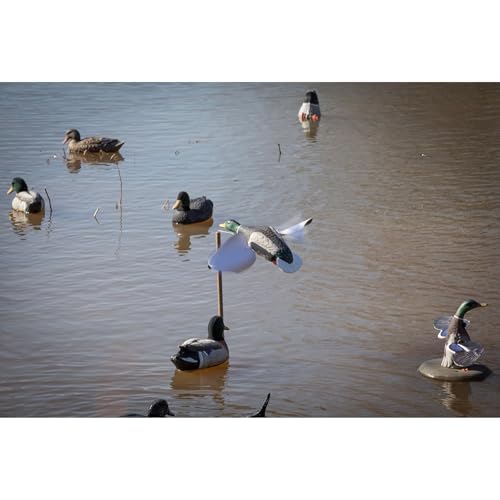 Wind-Activated Duck Decoy with Spinning Wings for Waterfowl Hunting