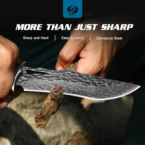 Damascus Hunting Knife VG10 67-Layer Fixed Blade with Leather Sheath - Men’s Bowie Knife