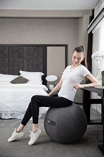 Gray 24-Inch Sitting Ball Chair for Office & Home with Cover, Pump & Handle