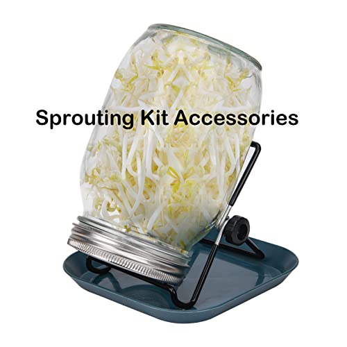 Lulonpon 2 Pieces Sprouting Stands with Tray - Stainless Steel & Mesh Covers