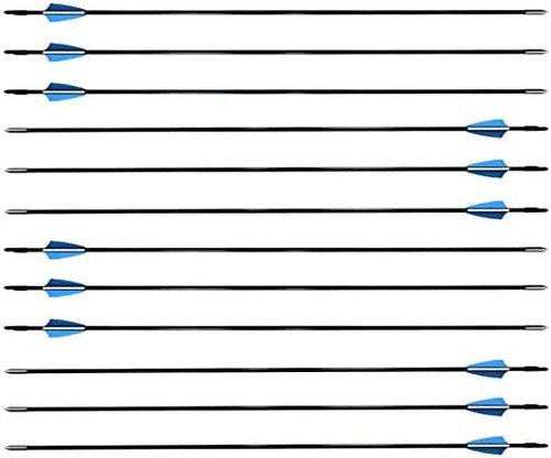 GPP Archery Beginner's First Arrows (30" Fiberglass Target Archery Arrows) - 12 Pack