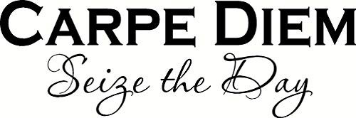 Motivational Office Wall Decals - Carpe Diem 6 x 22 Vinyl Quote Sticker - Inspirational Home Decor