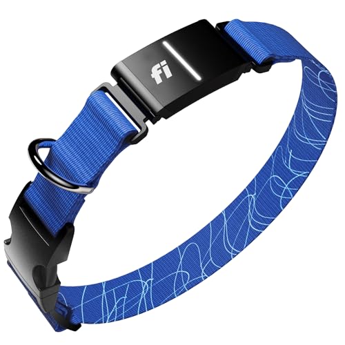 Fi Series 3+ GPS Dog Collar & Tracker Large Blue - 12-Month Membership Included