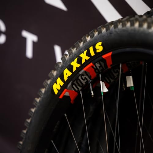 Maxxis Aspen MaxxSpeed XC Race Tire 29x2.40WT Tubeless EXO E25 Wide Trail