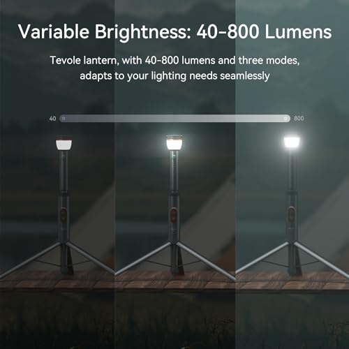 Gray Telescopic Camping Light with Remote & Magnetic Base – Waterproof 800 Lumens