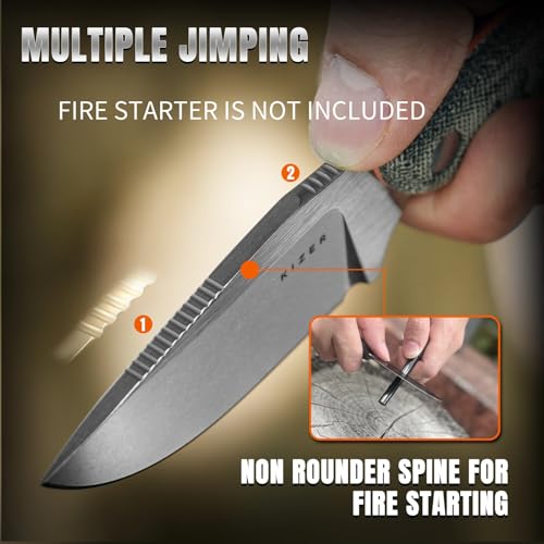 Kizer Hare Fixed Blade Knife with Sheath - Black & Orange, 3.14" Nitro V Steel