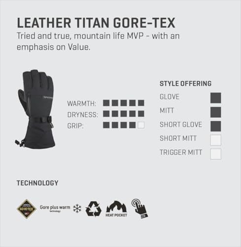 Dakine Leather Titan Gore-Tex Snow Gloves - Carbon / Large