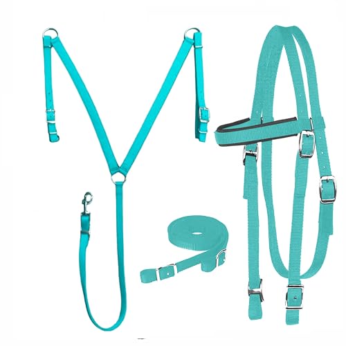 Equestrian Nylon Padded Browband Headstall Reins & Breastcollar Set - Full Turquoise