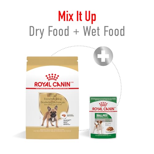 Royal Canin French Bulldog Adult Dry Dog Food 17 lb Bag - Breed-Specific Nutrition