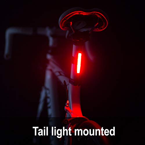 Cygolite Bike Front & Tail Light Set - 110 & 50 Lumens USB Rechargeable, Waterproof Cycling Lights