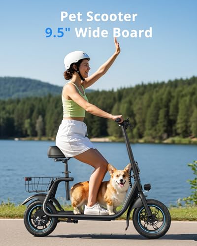 Gyroor Electric Scooter with Seat for Adults 450W Motor - Classic Black