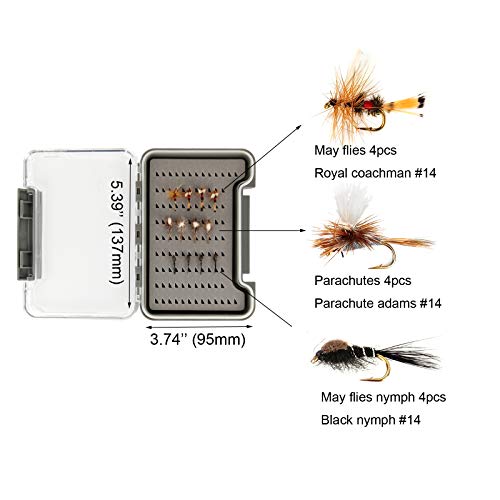 EUPHENG 9'0'' LW5/6 Fly Fishing Combo Kit with Rod, Reel, Flies & Case