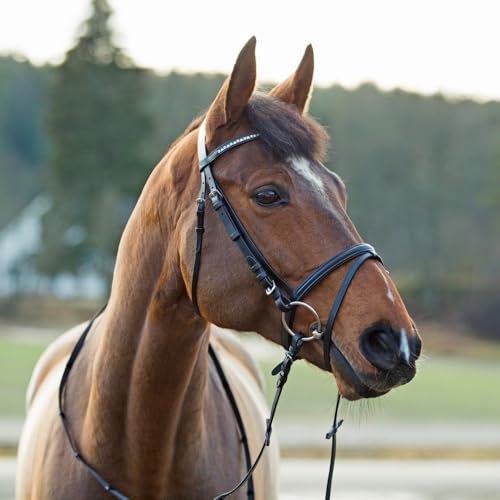 Horse Bridle Black Padded Leather Snaffle with Flash Noseband & Web Reins - HORZE Weston
