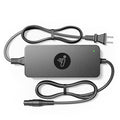 TerraXper Fast Charger for Segway Ninebot MAX G3 F3 F3 Pro GT3 ZT3 Pro 48V E-Scooter