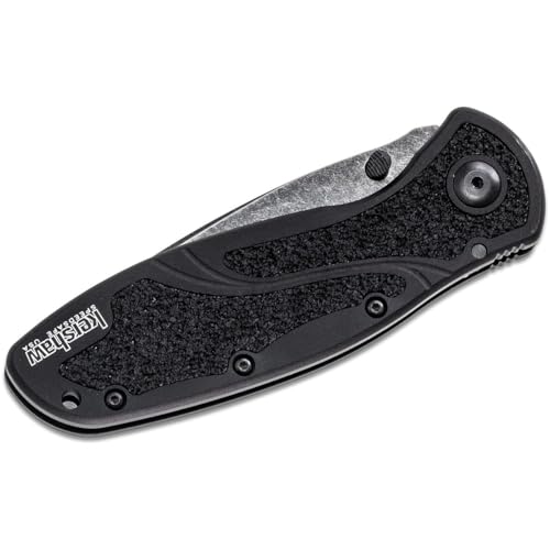 Kershaw Blur Blackwash Pocket Knife 3.4-Inch Recurve Blade, Assisted Opening, USA Made
