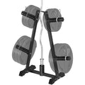 Heavy Duty Weight Plate Tree Rack for 1" & 2" Plates, 560 lbs Capacity