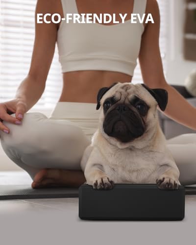 Yoga Blocks 2 Pack with Non-Slip Foam Support - Black