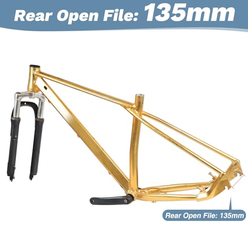 29 Inch MTB Wheel Set with Aluminium Alloy Double Wall Rims for Disc Brake Bikes - Rear Variation