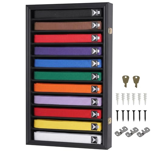 Martial Arts Belt Display Case Wall Rack with Lockable Acrylic Door - 11 Rows, Black Finish
