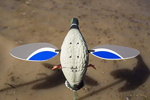 Drake Waterfowl Hunting Decoy - Compact MOJO Mallard with Remote Option