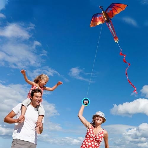 Dragon Kite with Reel - Upgraded Classical Stereoscopic Flying Kites for Kids & Adults