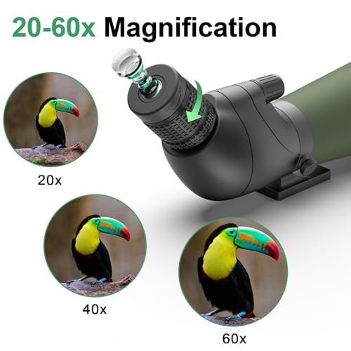 Green 20-60x80 Spotting Scope with Tripod for Bird Watching & Wildlife Viewing