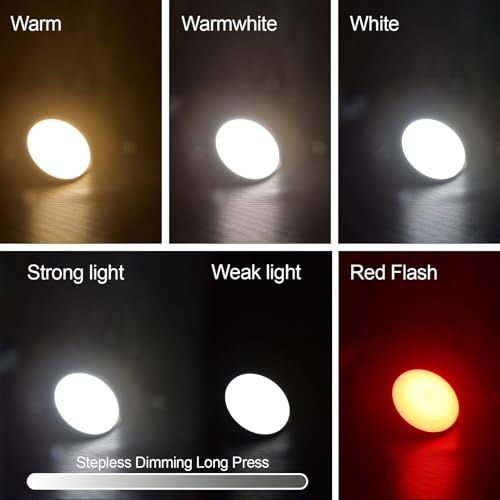30W PRO Rechargeable Camping Light with Voice Control, 3000 Lumens