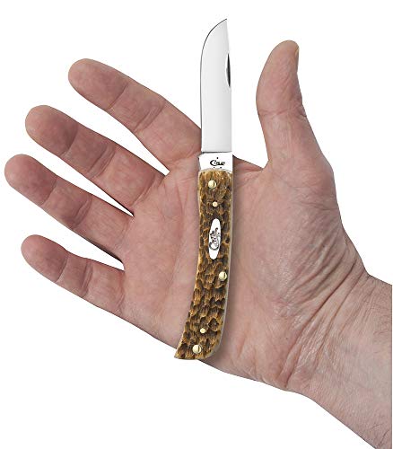 Case XX WR Pocket Knife 2.8” Amber Bone Sod Buster Jr. Made in USA