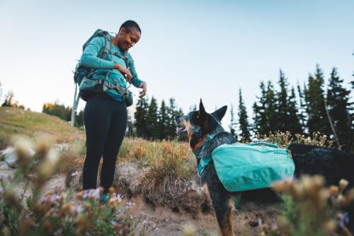 Dog Hiking Backpack - Large/X-Large, River Rock Green, Fits Like Harness
