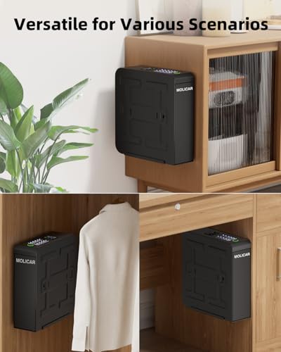 Biometric Gun Safe for Handgun with Fingerprint, Password & Key - MOLICAR Nightstand Safe