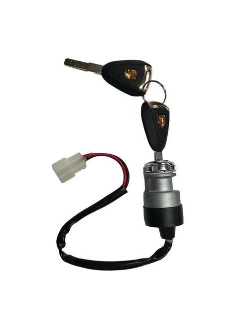 Monroe Truck and Auto Accessories Unique Key Switch, Compatible with ICON Golf carts