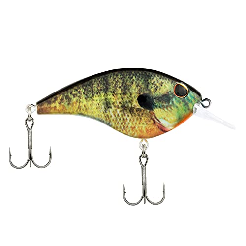 Berkley Frittside Crankbait - HD Bluegill, 2 1/4in, 1/3oz, Hard Bait