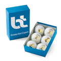 White Cricket Balls Pack of 6 - Genuine Leather, Professional Match-Grade