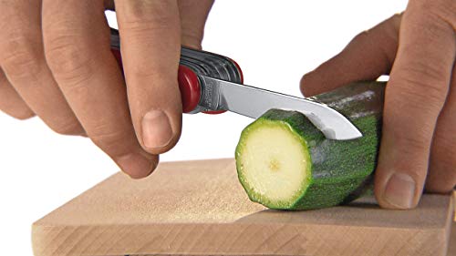 Victorinox Signature Lite Swiss Army Pocket Knife with LED Light, 7 Functions