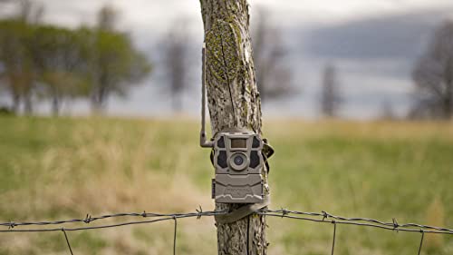 TACTACAM Reveal X Gen 2.0 LTE Trail Camera with HD Video & Low Glow IR