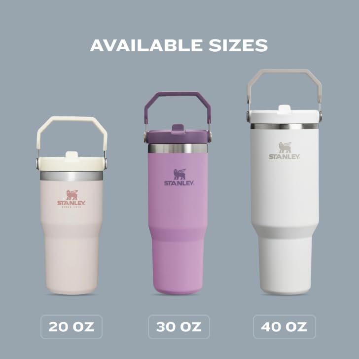 STANLEY IceFlow 2.0 Tumbler - 20 oz Insulated Water Bottle with Flip Straw & Handle | Leakproof | Chili Red