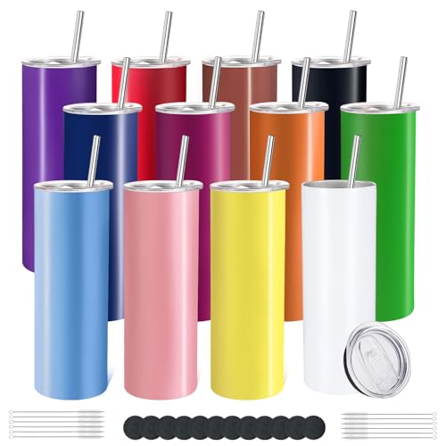 12 Pack Stainless Steel Insulated Tumblers 20oz with Lids & Straws