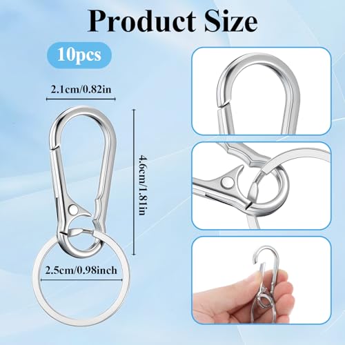 Heavy Duty Metal Keychain Carabiner Clips Set - Silver, 10 Pack
