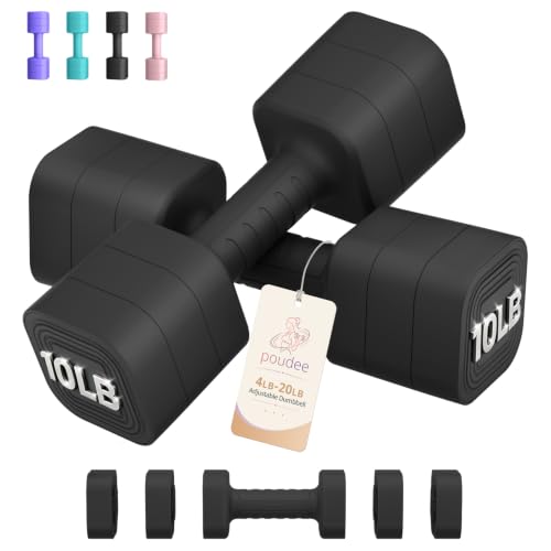 Black 20LB Adjustable Dumbbell Set of 2 for Home Gym Workout - Space Saving