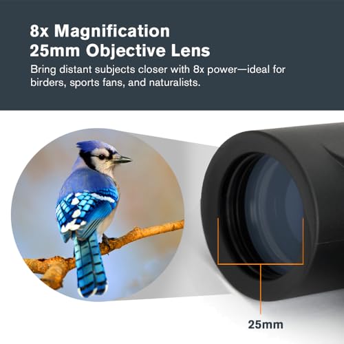 Celestron Outland X 8x25 Pocket Binoculars for Travel & Outdoor Adventures