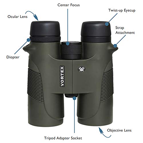 10x42 Roof Prism Binoculars - Vortex Diamondback Hunting Optics