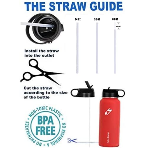 Hydro Flask Wide Mouth Replacement Straws 6-Pack with 2 Cleaning Brushes