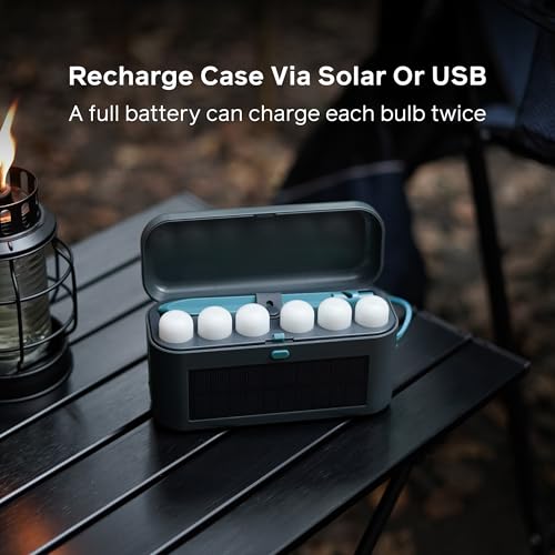 BioLite Rechargeable Solar Site Lights with Hangable Bulbs & Stakes