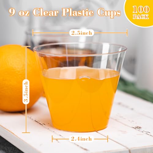 N9R 9oz Clear Disposable Plastic Cups 100-Pack for Cocktails & Wine