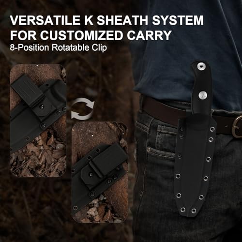 Kizer Drop Bear Fix 7 Fixed Blade Knife Black Handle 6.51" 1095 Steel Survival