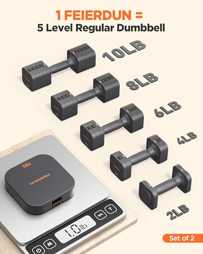 Adjustable Dumbbell Set 10LBS Pair - 5-in-1 Home Gym Weights for Strength & Rehab - Grey
