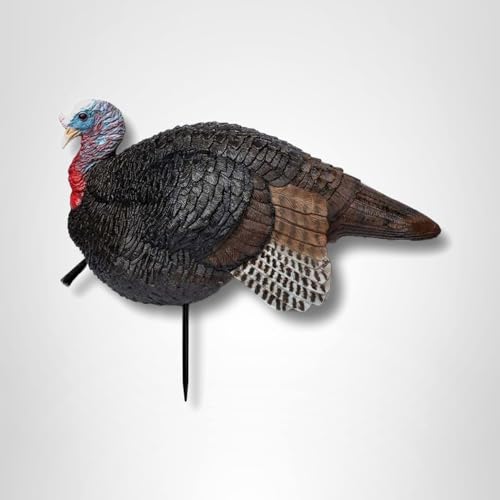 Primos Hunting Lil Gobstopper Jake Turkey Decoy Light-Weight Hunting Decoy 69074, Multi